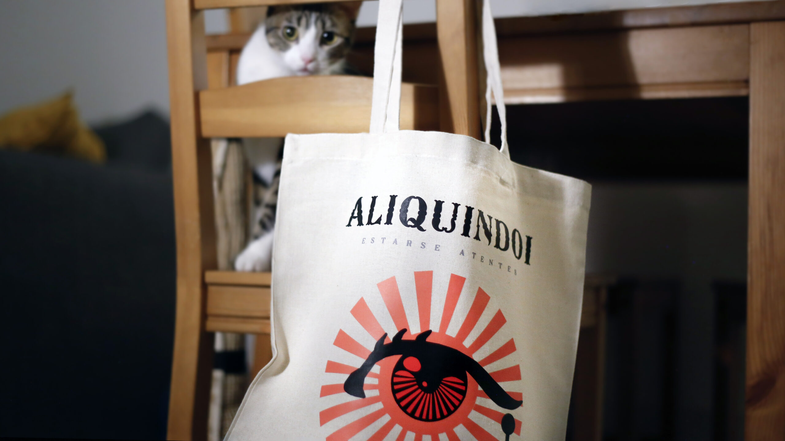 Talega blanca Aliquindoi 3